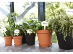 Elho Untersetzer Green Basics Ø 34 cm living schwarz