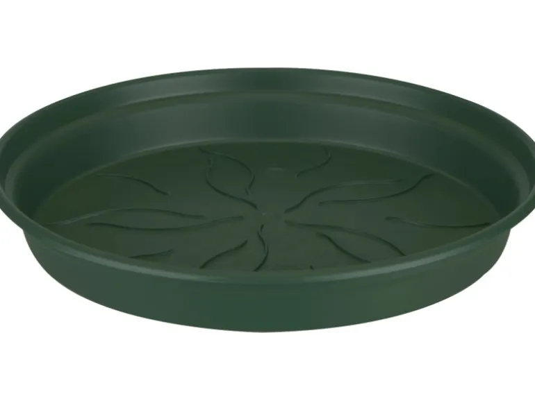 Elho Untersetzer Green Basics Ø 22 cm laubgrün