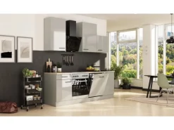 Flex-Well Exclusiv Küche 1701-017sWs Lund 220 cm Lichtgrau glänzend-Rauchgrau