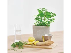 Grohe Wassergläser Blue 6 Stück