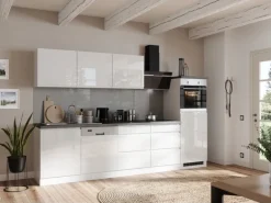 Held Küchen Küchenzeile Gera 300 cm Weiß/Beton mit E-Geräten /autark Induktion