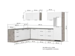Held Küchen Winkelküche Kempten 300 cm Weiß/Wotan mit E-Geräten /autark