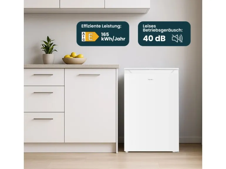 homeX Gefrierschrank Tiefkühlschrank Klein 87L Nutzinhalt 4-Sterne Gefrieren Kompakt und Freistehend Leise Weiß
