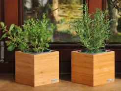 Kesper Utensilienbox Bambus FSC®