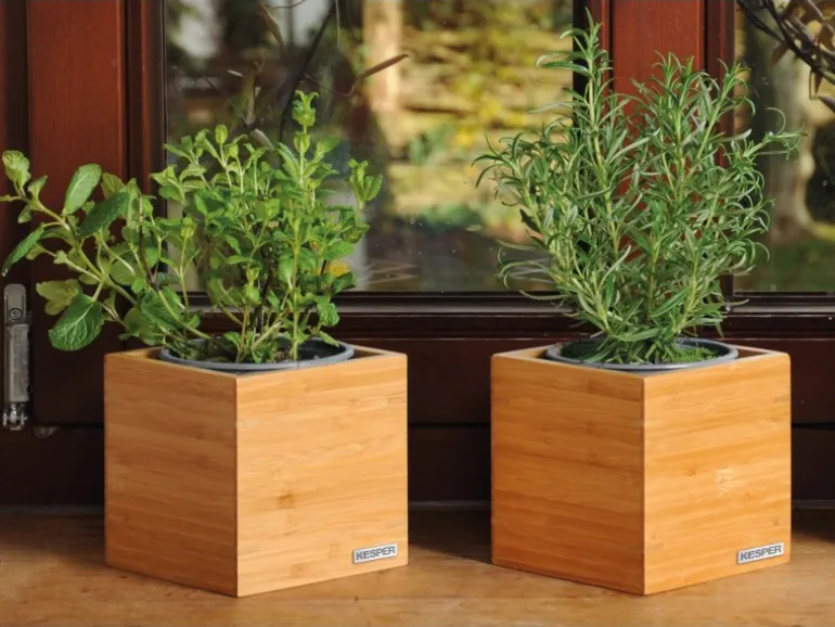 Kesper Utensilienbox Bambus FSC®