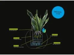 Lechuza® Übertopf Puro Schiefergrau Ø 50 cm integriertes Erdbewässerungssystem