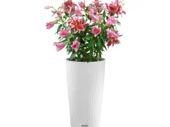 Lechuza® Pflanzgefäß Cilindro Color Ø 32 cm x 56 cm Weiß