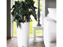 Lechuza® Pflanzgefäß Cilindro Color Ø 32 cm x 56 cm Weiß