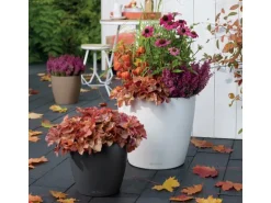 Lechuza® Pflanzgefäß Classico Color 35 Schiefergrau Ø 35 cm