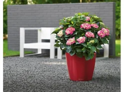 Lechuza® Pflanzgefäß Classico Premium LS Ø 22 cm x 21 cm Scarlet Rot hochglanz