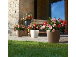 Lechuza® Pflanzgefäß Classico Color 28 Schiefergrau Ø 28 cm