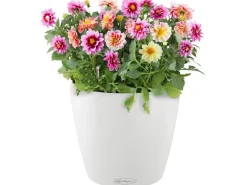 Lechuza® Pflanzgefäß Classico Color 28 Weiß Ø 28 cm