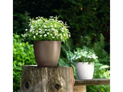 Lechuza® Pflanzgefäß Classico Color 28 Weiß Ø 28 cm