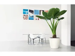 Lechuza® Pflanzgefäß Classico Premium Ø 60 cm x 56 cm Weiß hochglanz