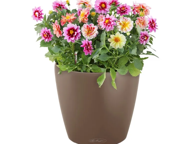 Lechuza® Pflanzgefäß Classico Color 35 Muskat Ø 35 cm