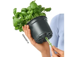 Lechuza® Pflanzgefäß Cube Color 14 cm x 14 cm x 14 cm Sandbraun