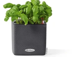 Lechuza® Pflanzgefäß Cube Color 14 Schiefergrau 14 cm x 14 cm