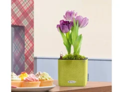 Lechuza® Pflanzgefäß Cube Color 14 cm x 14 cm x 14 cm Limettengrün