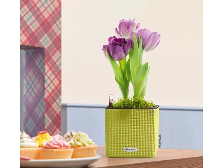 Lechuza® Pflanzgefäß Cube Color 14 cm x 14 cm x 14 cm Limettengrün