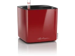 Lechuza® Pflanzgefäß Cube Glossy 14 Scarlet Rot highgloss 14 cm x 14 cm