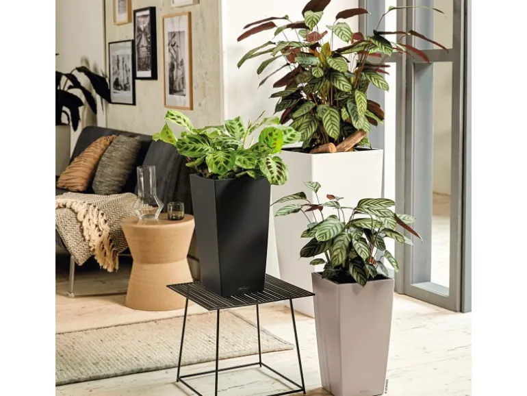 Lechuza® Pflanzgefäß Cubico Color 30 cm x 30 cm x 56 cm Sandbraun