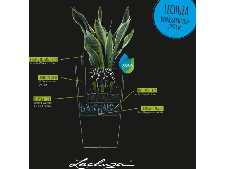 Lechuza® Pflanzgefäß Cubico Color 30 cm x 30 cm x 56 cm Sandbraun