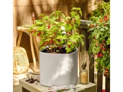 Lechuza® Pflanzgefäß Pila Color Planter 35 cm x 35 cm x 33 cm Lichtgrau