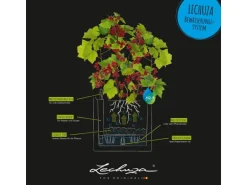 Lechuza® Pflanzgefäß Pila Color Planter 35 cm x 35 cm x 33 cm Lichtgrau