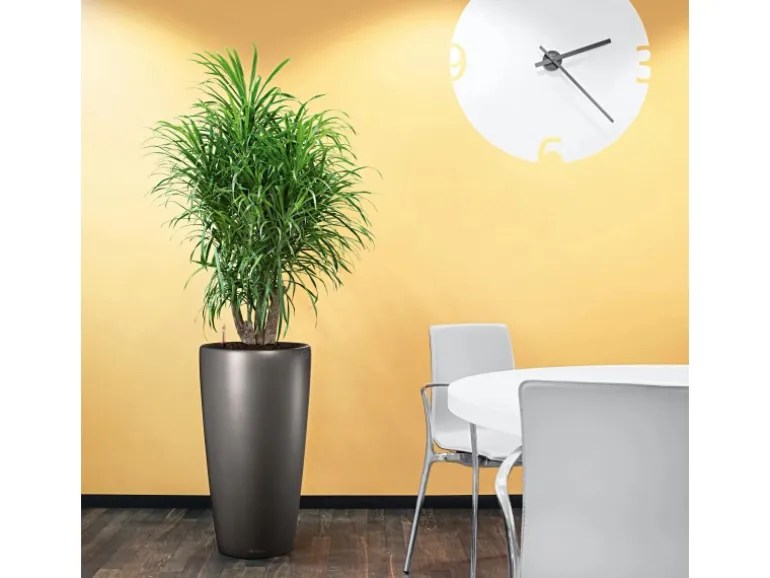 Lechuza® Pflanzgefäß Rondo Premium Ø 32 cm x 56 cm Anthrazit metallic