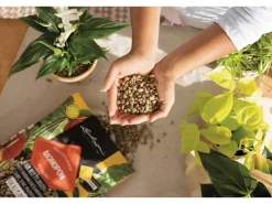 Lechuza® Pflanzsubstrat Mono Pon 12 l Neutral