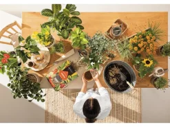 Lechuza® Pflanzsubstrat Mono Pon 12 l Neutral