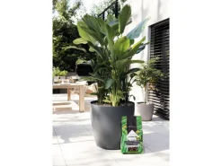 Lechuza® Pflanzsubstrat Pon XXL 25 l Neutral