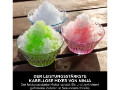 Ninja Mixer Blast Max BC251EUGY Kabellos Grau