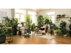 Pflanzsubstrat Lechuza®-Pon 3 Liter für Zimmerpflanzen