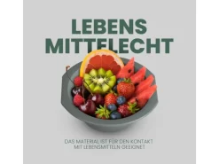 ProHome Kunststoff Schüssel BPA Frei 1,55 x 6 cm Grün 2er Pack