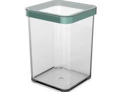 Rotho Dose Loft Premium Quadratisch 1 l Transparent Mistletoe Green