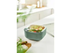 Rotho Frischhaltedose Ela 2 l Mistletoe Green