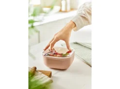 Rotho Frischhaltedose Ela 1 l Rosa