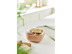 Rotho Frischhaltedose Ela 1 l Rosa