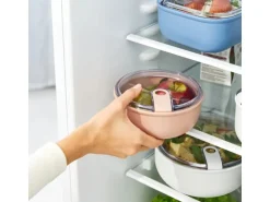 Rotho Frischhaltedose Ela Rund 0,75 l Rosa