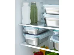 Rotho Frischhaltedose Nala Edelstahl 0,5 l Mistletoe Green