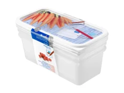 Rotho Gefrierdosen-Set Domino Karotten 1,2 l Weiß 3-teilig