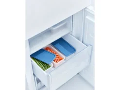 Rotho Gefrierdosen-Set Domino 1,2 l Horizontblau 3-teilig