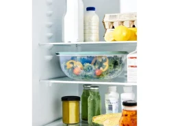 Rotho Kühlschrankdose Elements Rund 6 l Mistletoe Green