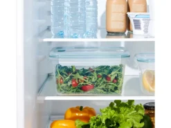 Rotho Kühlschrankdose Nala 2,2 l Mistletoe Green