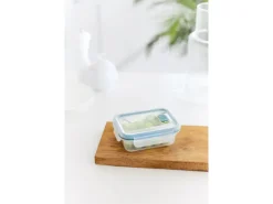 Rotho Kühlschrankdose Nala 0,45 l Mistletoe Green