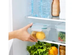 Rotho Kühlschrankdose Nala 0,85 l Mistletoe Green