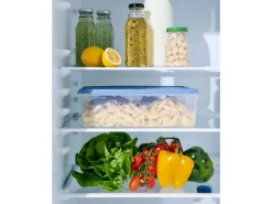 Rotho Kühlschrankdose Rondo Eckig 5 l Horizontblau