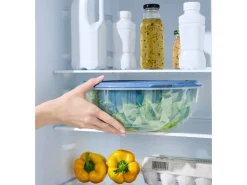 Rotho Kühlschrankdose Rondo Rund 6 l Horizontblau