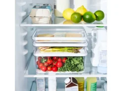 Rotho Kühlschrankorganizer-Set Cauma 1,3 l/2,6 l/4,65 l Transparent 3-teilig